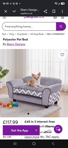 Dog sofa beds medium little - sofa,